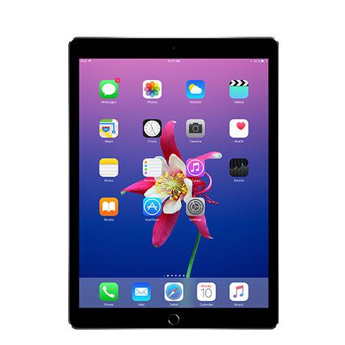 iPad Pro 10.5" 512GB WiFi + 4G LTE (Unlocked) EcoATM Store